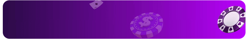VIP Partners Company